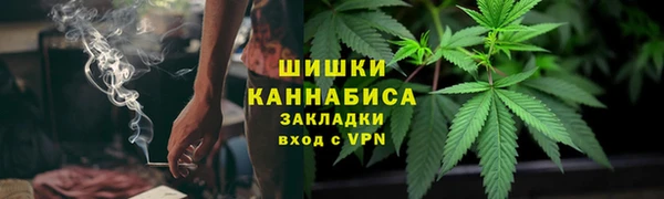 PSILOCYBIN Балабаново